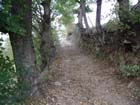 Chemin d'automne - Parc Naturel Rgional du Pilat